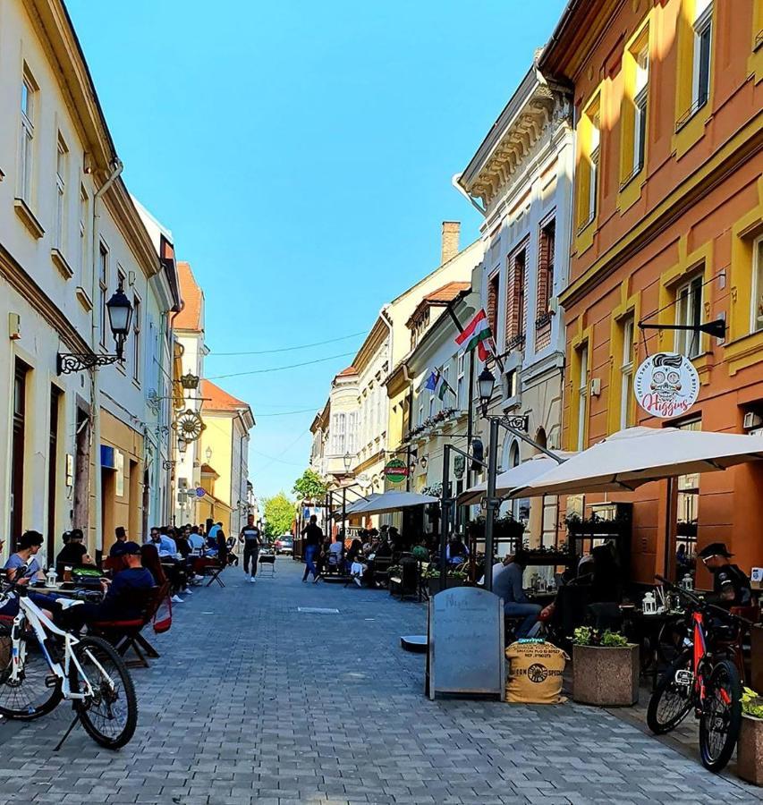Malasits Apartman Győr Zewnętrze zdjęcie